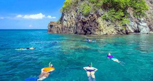 巴厘岛爆料贴吧官网最新消息,揭秘巴厘岛旅游新动态与热门话题  第1张